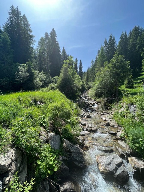 Tag 6